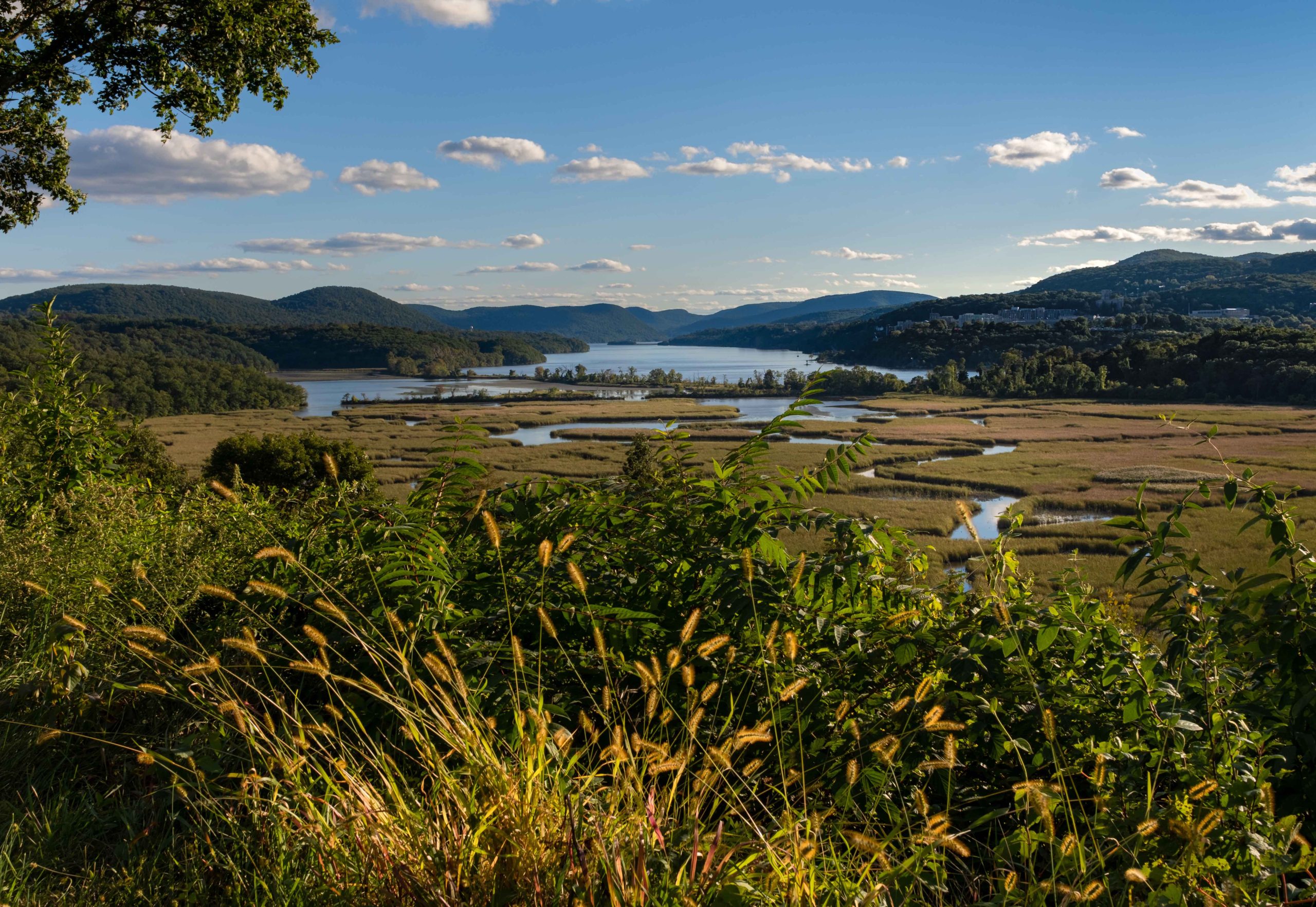 Off the Beacon Path: Southern Dutchess County Businesses to Know ...