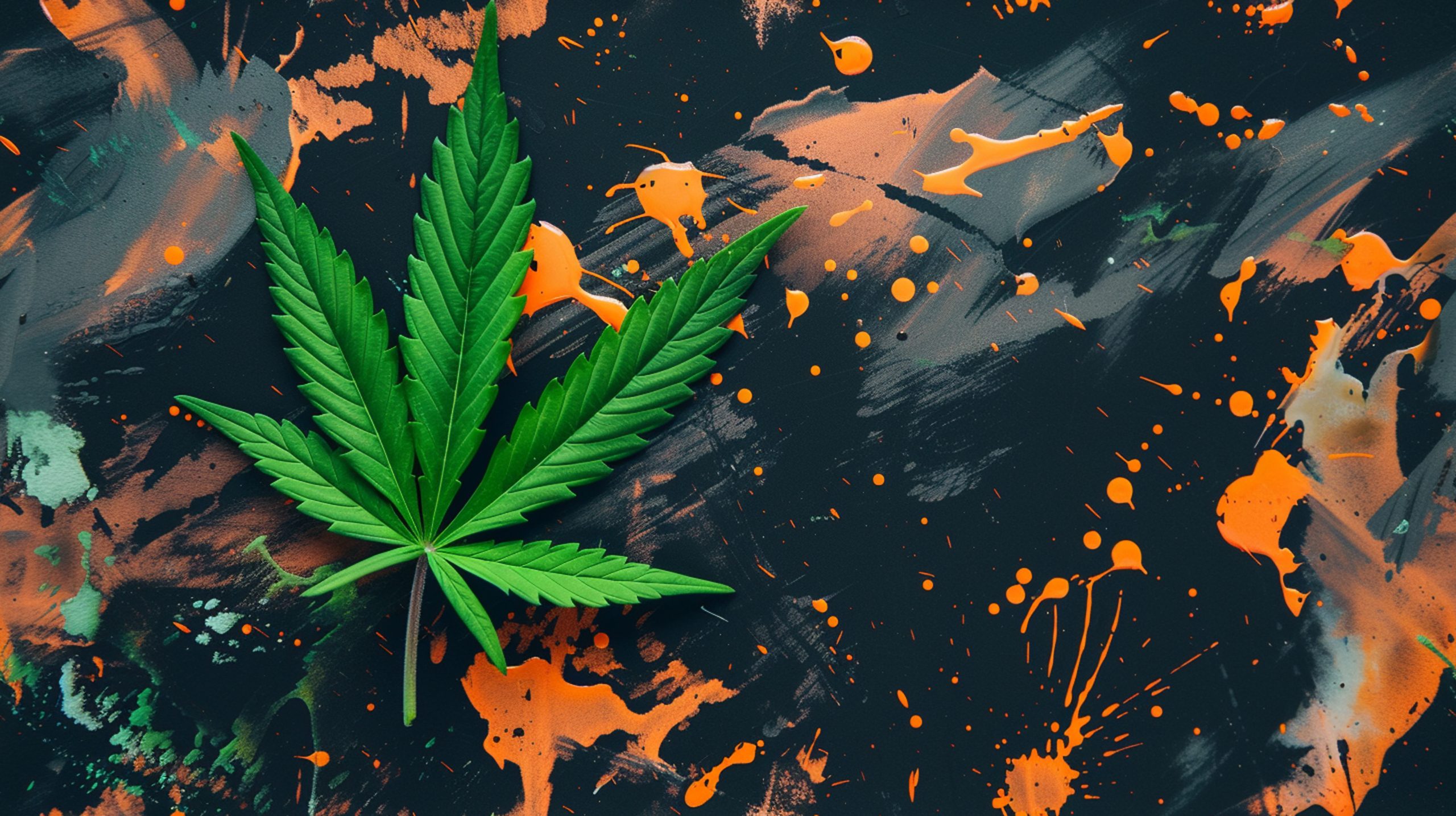 Across State Lines: What the Tri-State Cannabis Boom Means for Shoppers